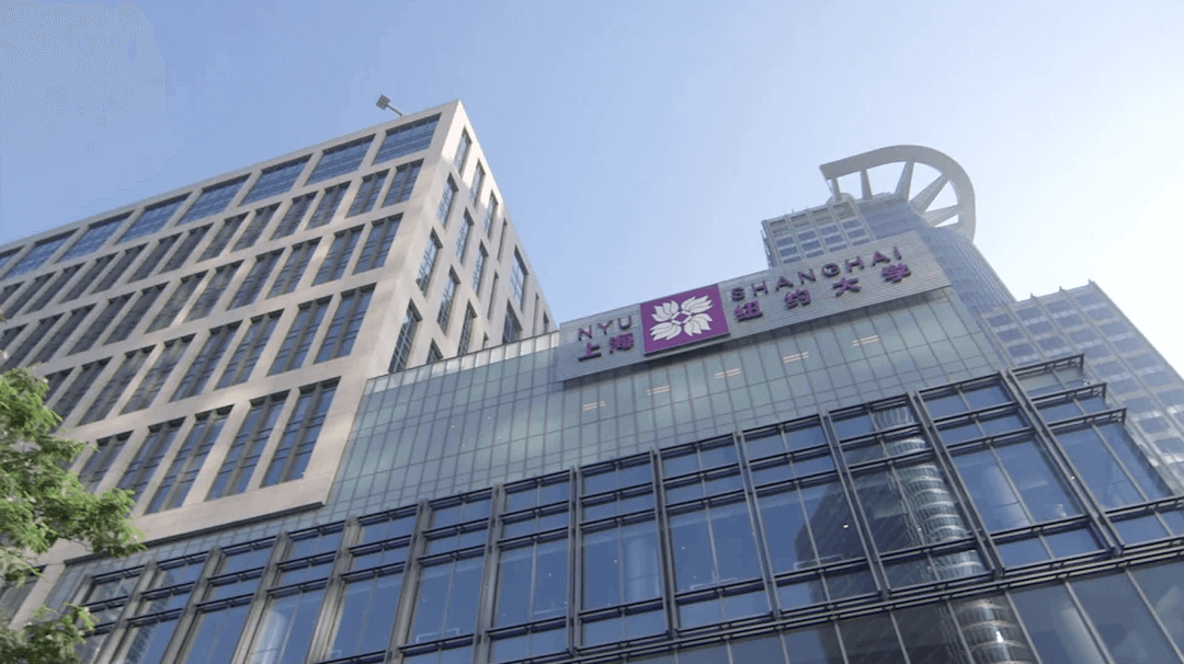 上海纽约大学综合评价