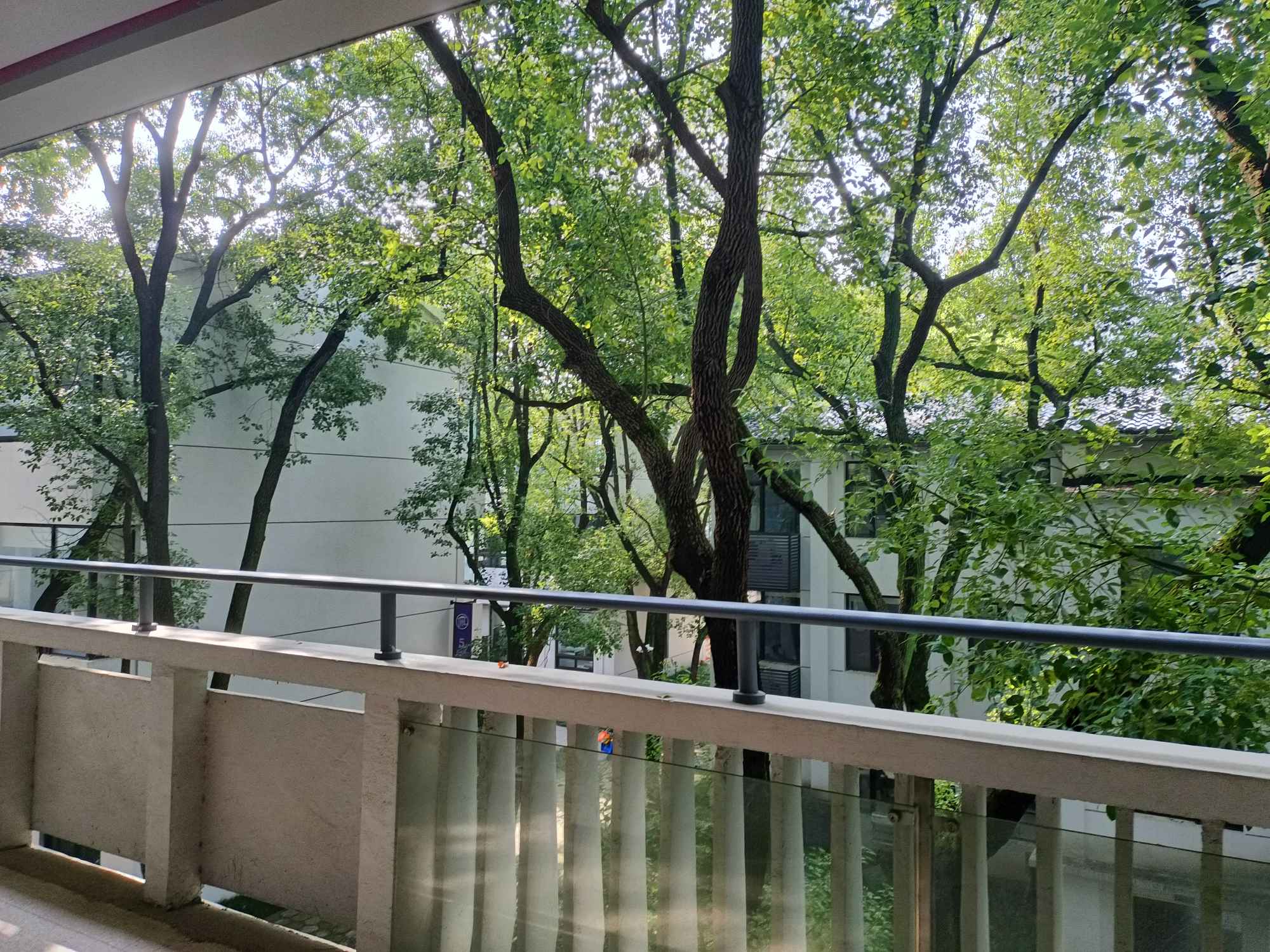 学音乐到底需不需要好好学文化课