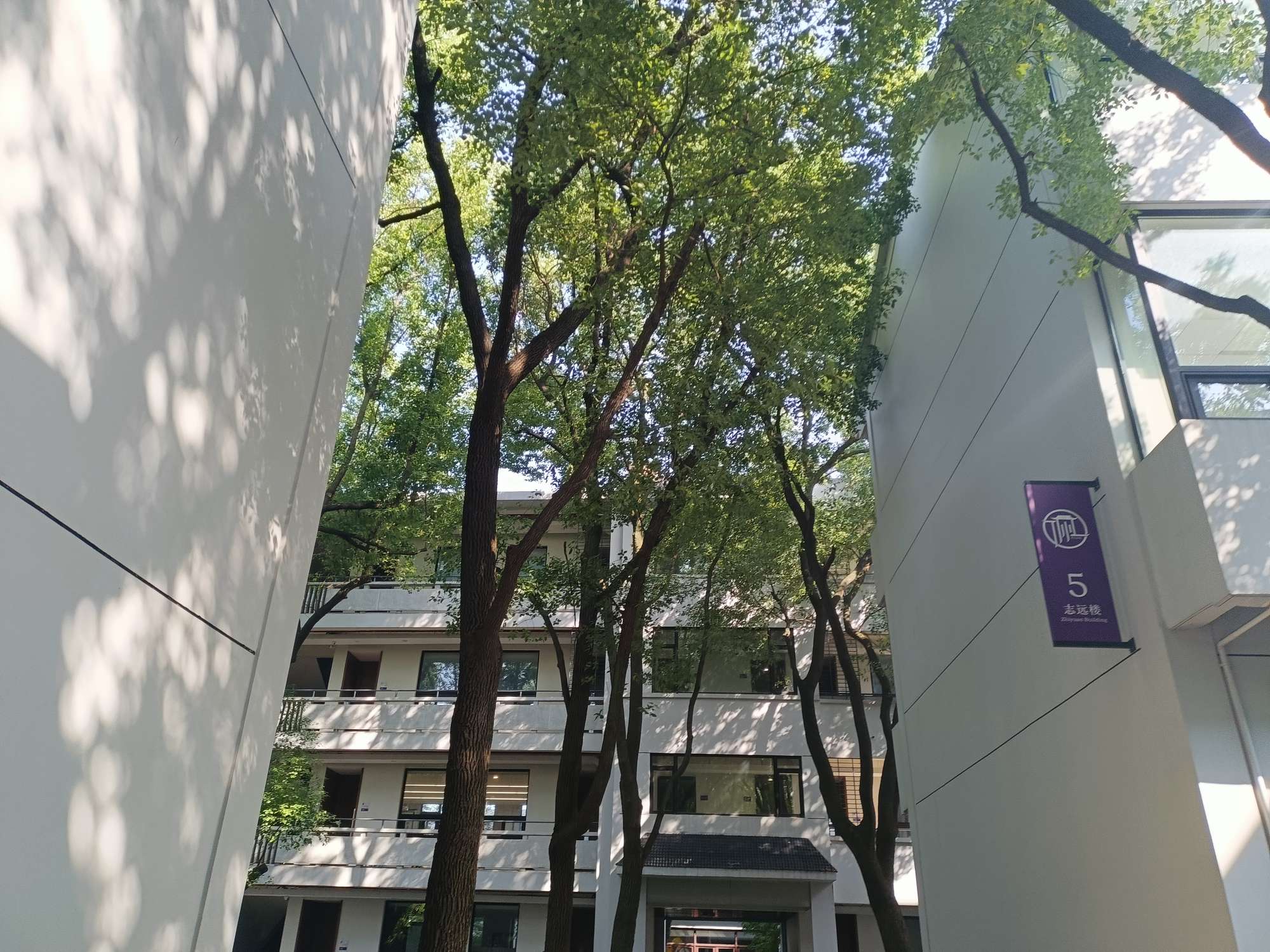 2024艺考生的文化课与专业课双赢？这么做才能实现！
