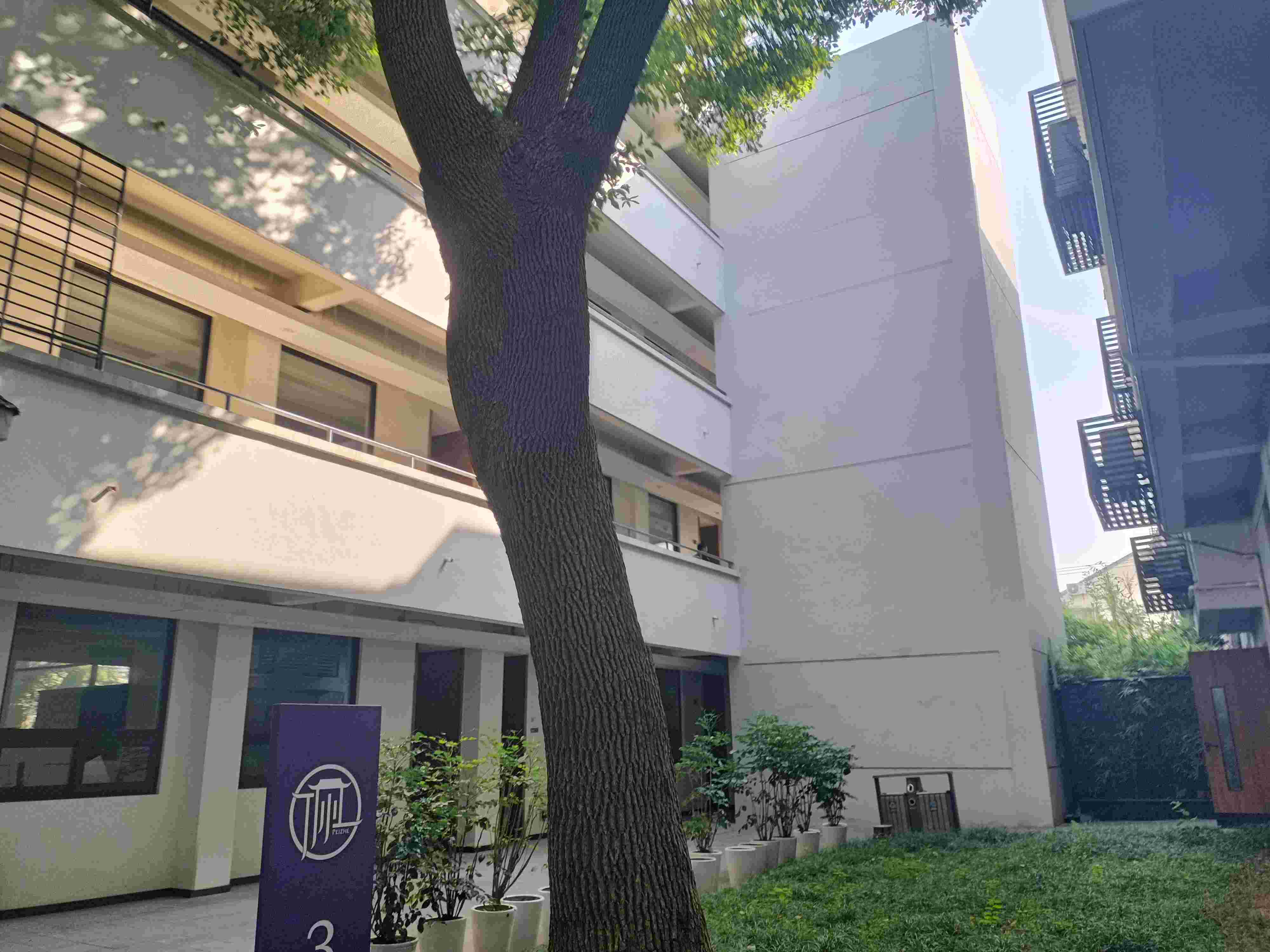 音乐艺考生，看看你的文化课成绩都能上哪类大学？