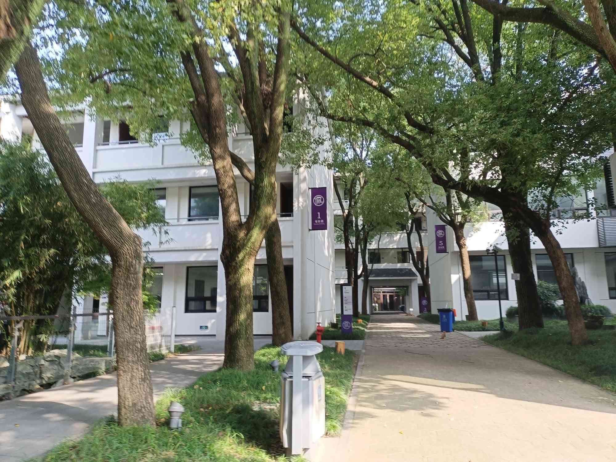 艺考生文化课冲刺宝典：如何在最后几个月内高效提分？