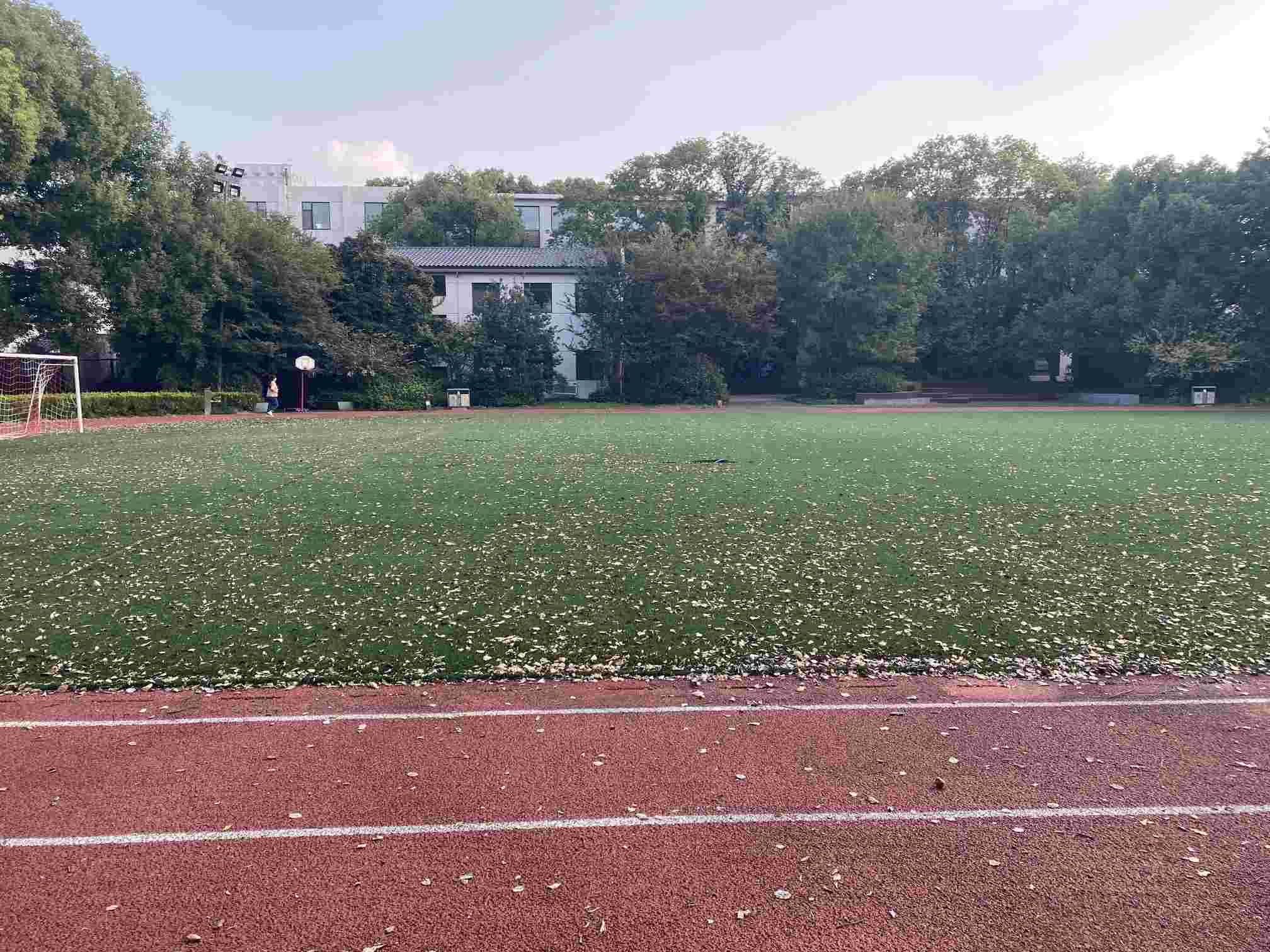 艺考后如何从零补文化课