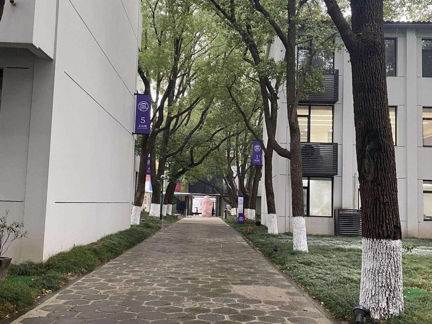 高考复读补习班有哪些？全方位解析，助力考生圆梦大学