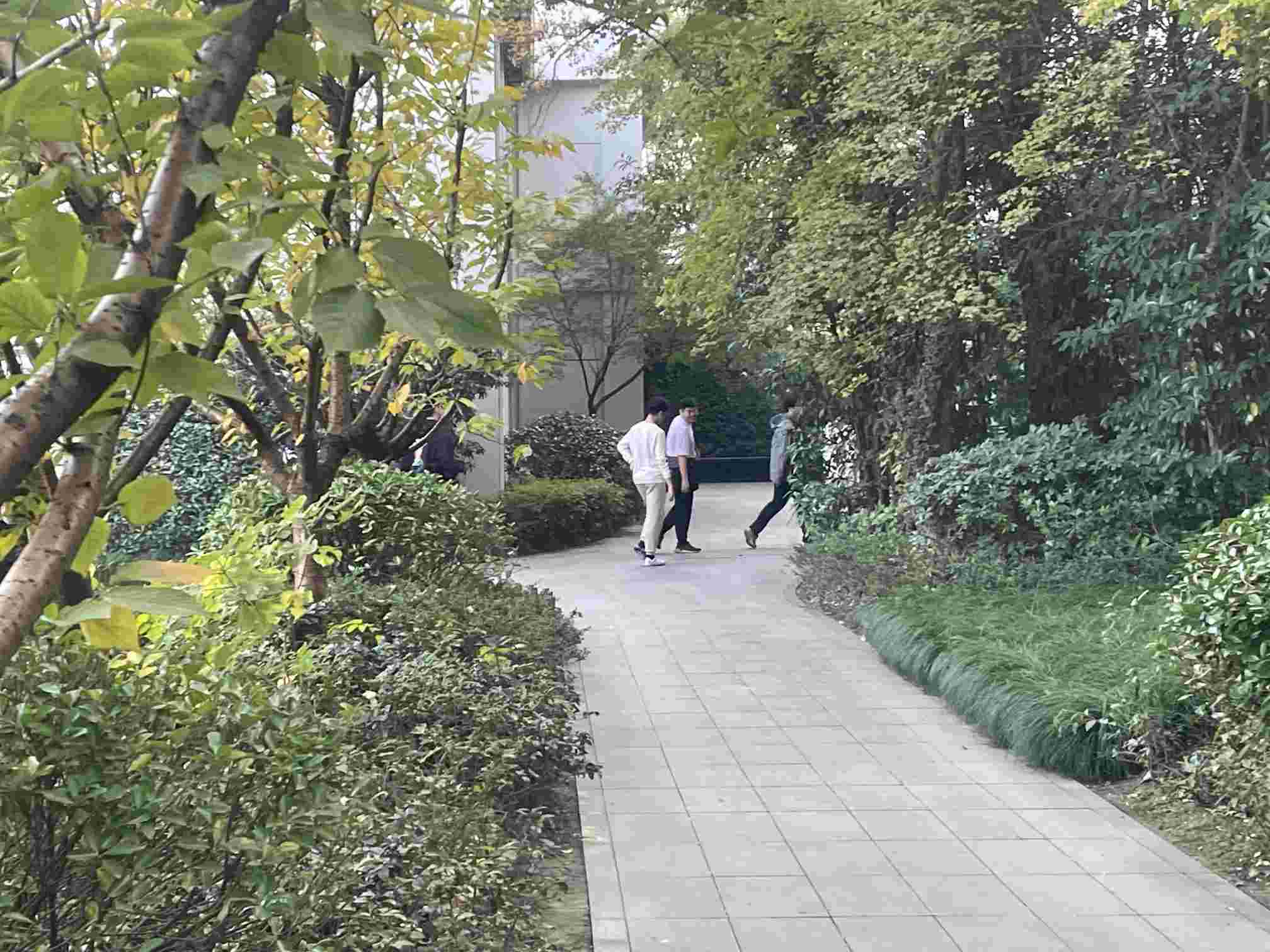 高三复读时一轮复习只有300分，怎样做可以冲上本科？