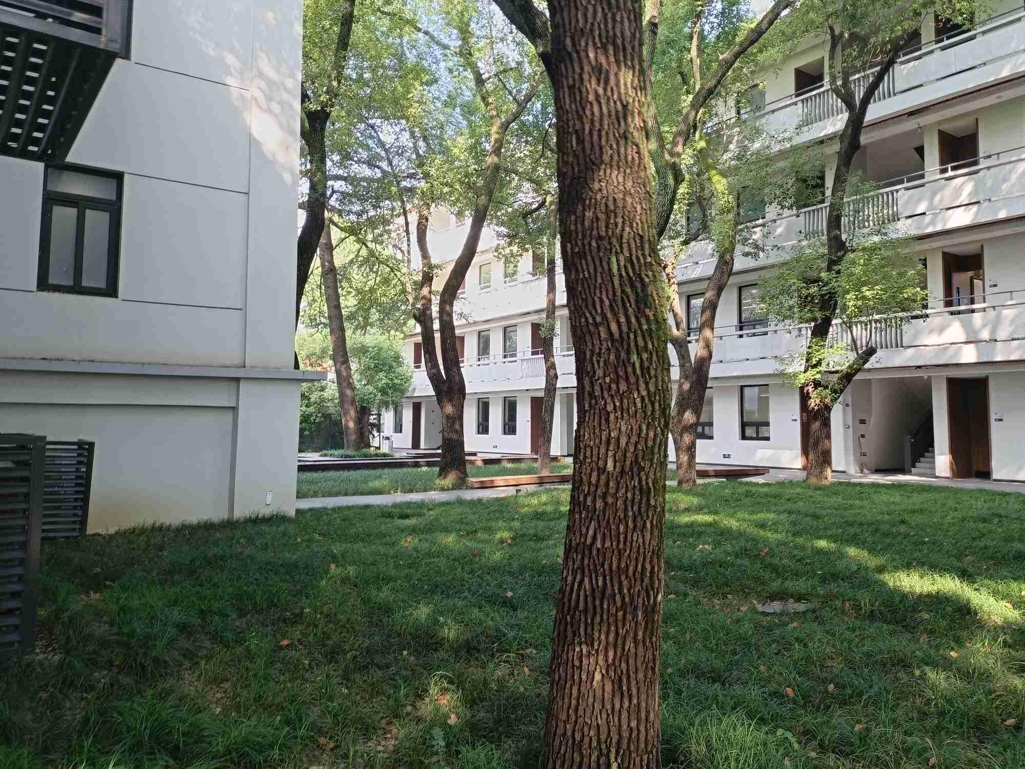 复读，哪三种同学涨分快？