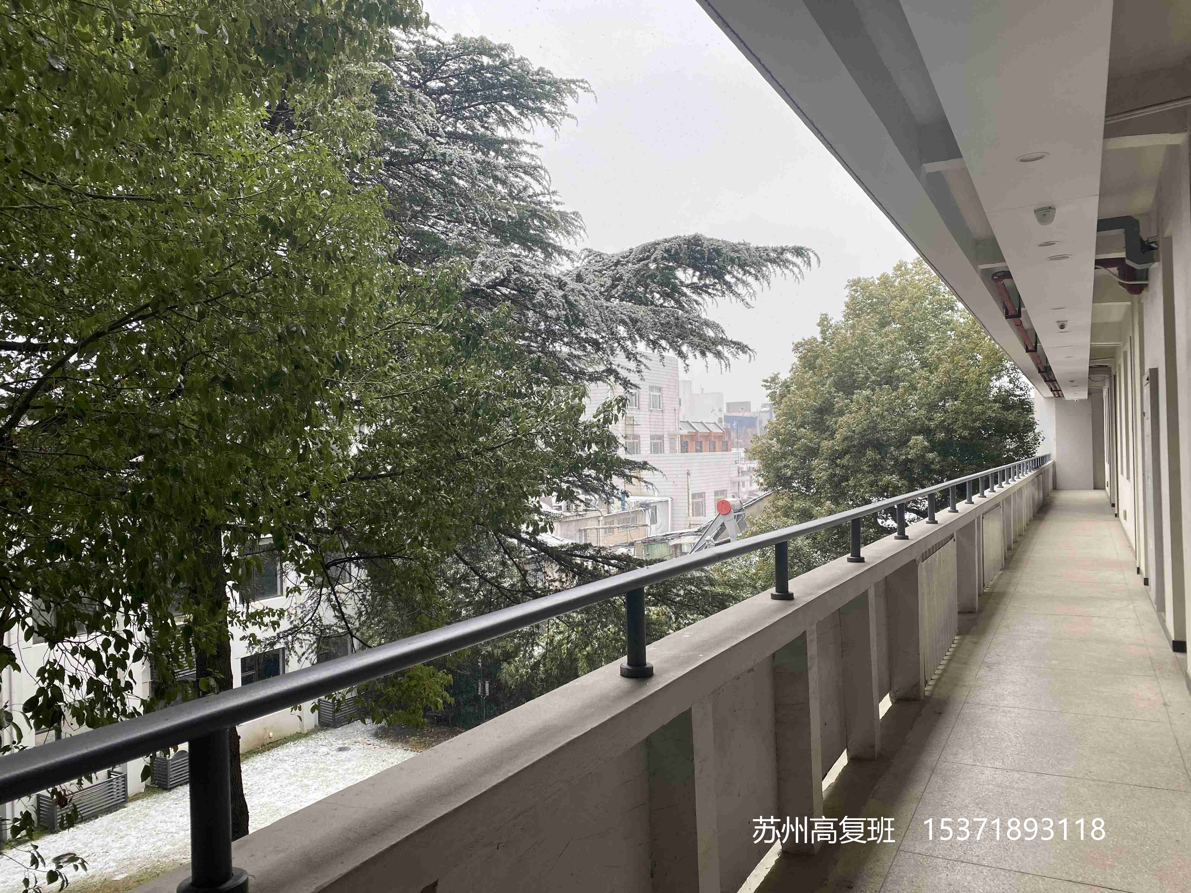 明年高考复读政策有什么变化？2024年高考复读新政策？-苏州高复班